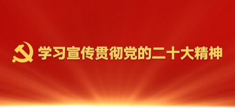 学习宣传贯彻党的二十大精神